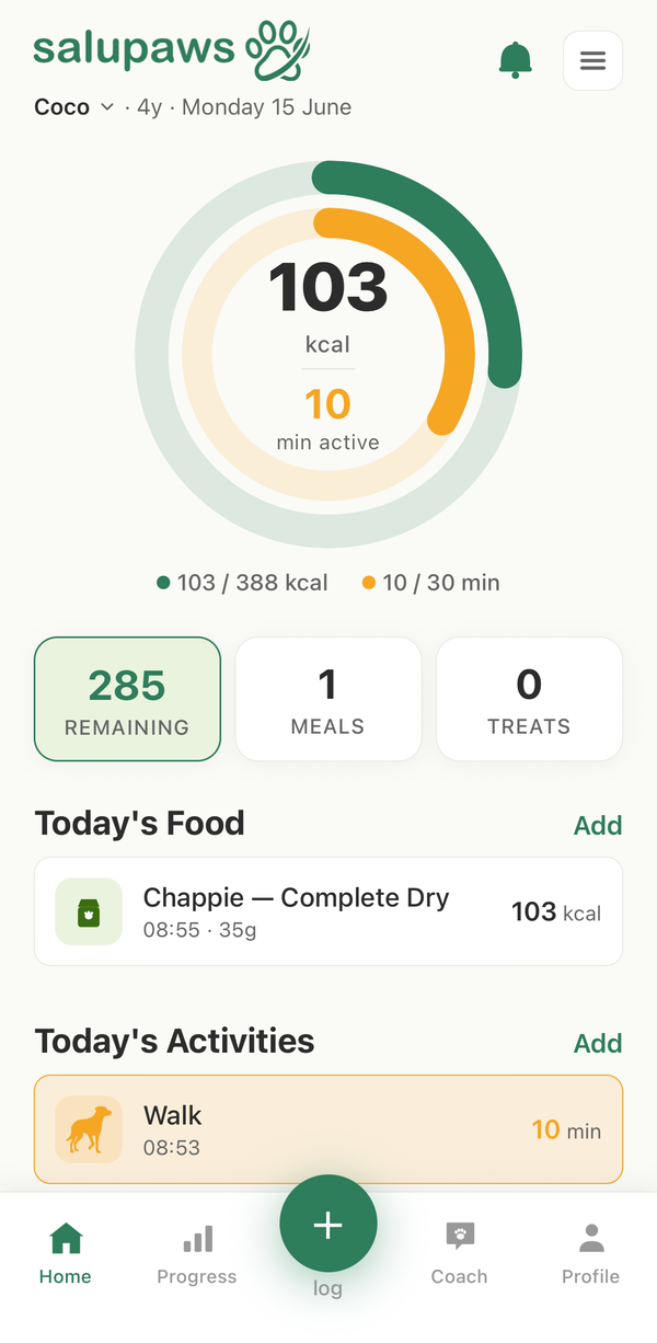 Home screen with the daily calorie ring